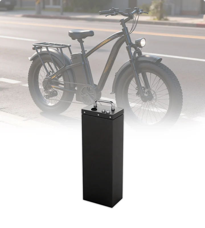 E-Bike-Battery-Packs